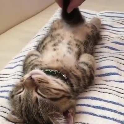 Sleepy time