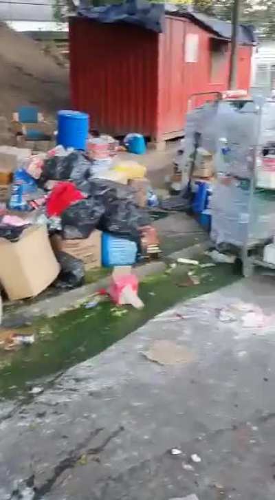 Cops stepped in by slashing tires and breaking windscreens. Look at all that potential loot.