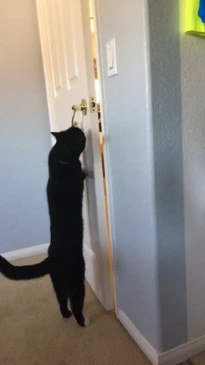 I don&rsquo;t know where he learned that