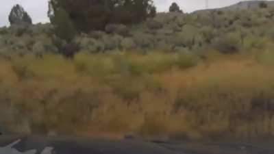 [USA] Wrong way driver gets in Oregon State Trooper&rsquo;s lane.
