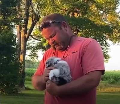 Man's family surprised him with a new puppy