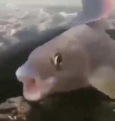 The state of this sub
