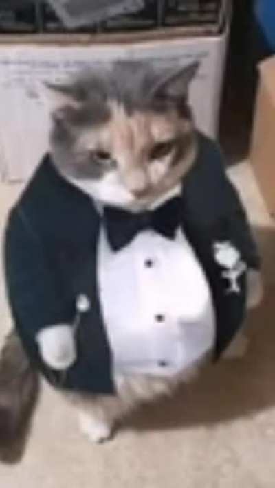 cursed_egirl