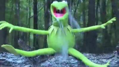 Katara is going to Kermit a hate crime