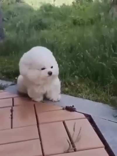 Fluffy