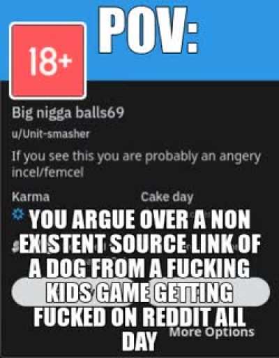 this guy was arguing for like 15 minutes over a porn link of isabelle. get a fucking life