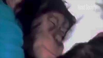 Cybermonkey 2077
