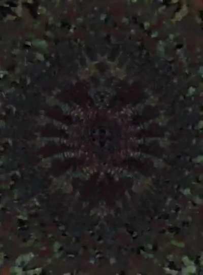 Best and longest dmt replication I&rsquo;ve made