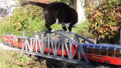 Монохромный путеец / Katze vs. Gartenbahn