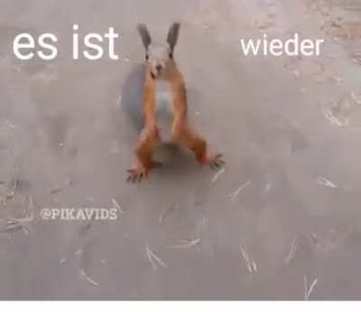 sch&ouml;nes Wochenende M&auml;nners 😎🤪 ich hoffe man trifft sich demn&auml;chst mal wieder auf n paar gen&uuml;ssliche Bierchen 🍻😆