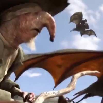 Aye 👨‍🦱 ⌚ yo ✈️