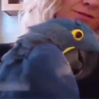 anIMaLs BrutALLy KILlIng PeoPLe