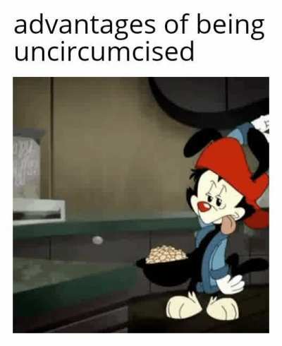 There did milk come from?