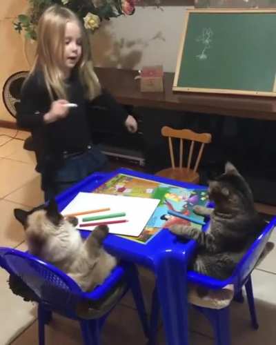 Little girl teaching her cats how to draw a flower