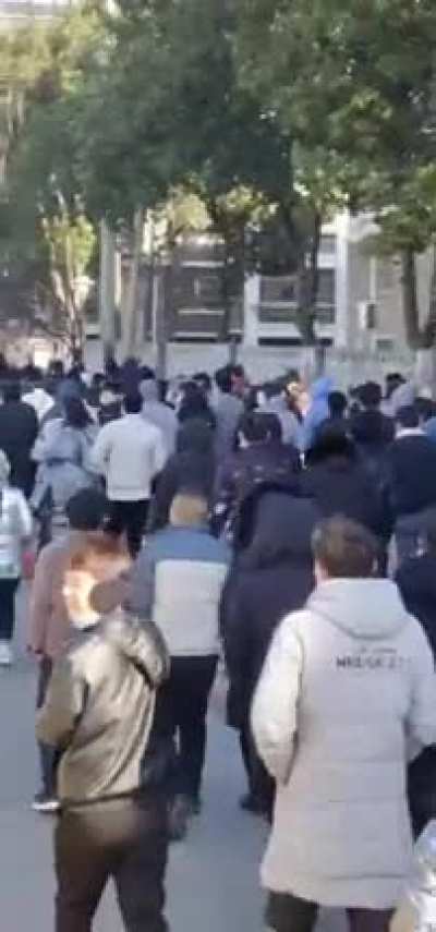 废青又闹事了