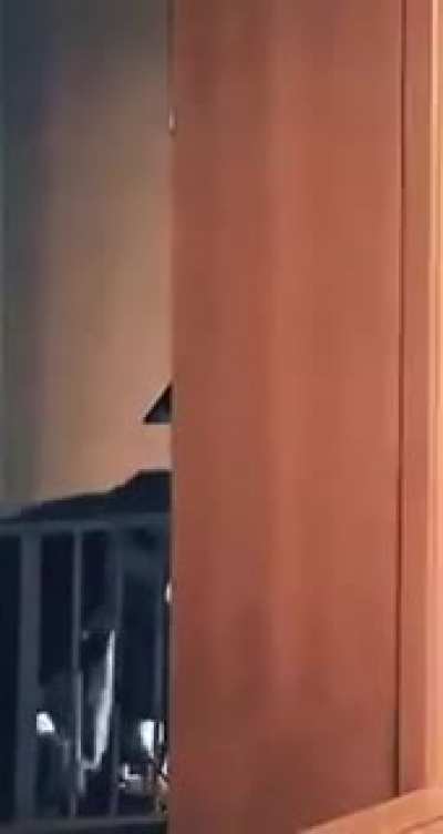 To look lawful