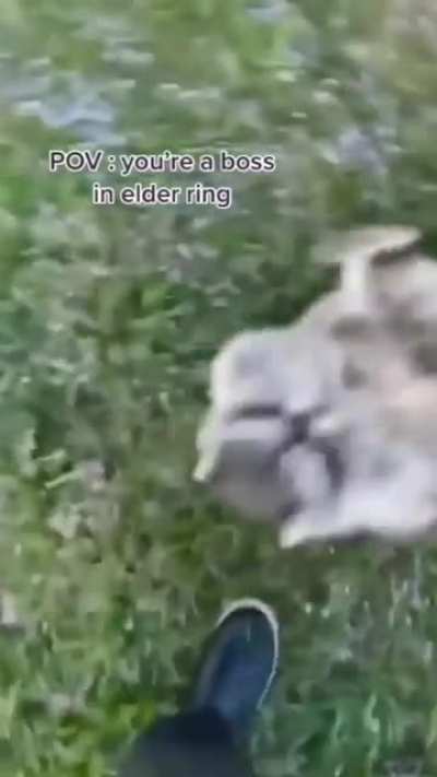 I can already hear Felix laugh, if he sees this Lmao