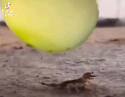 Chore se voc&ecirc; chorou