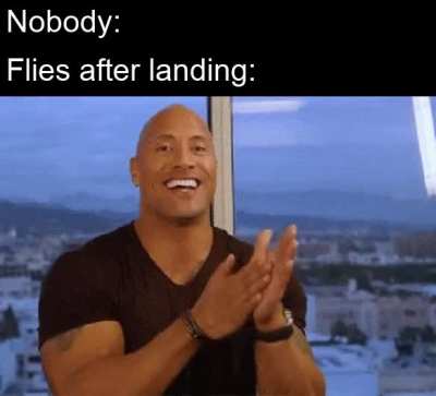 Not a single soul: