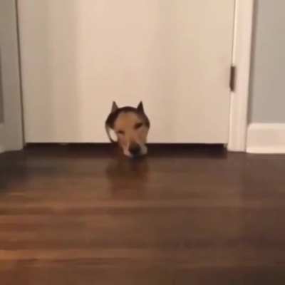 Just when you thought you found a hiding place