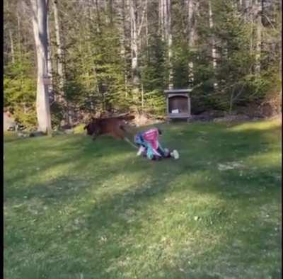 Fetch