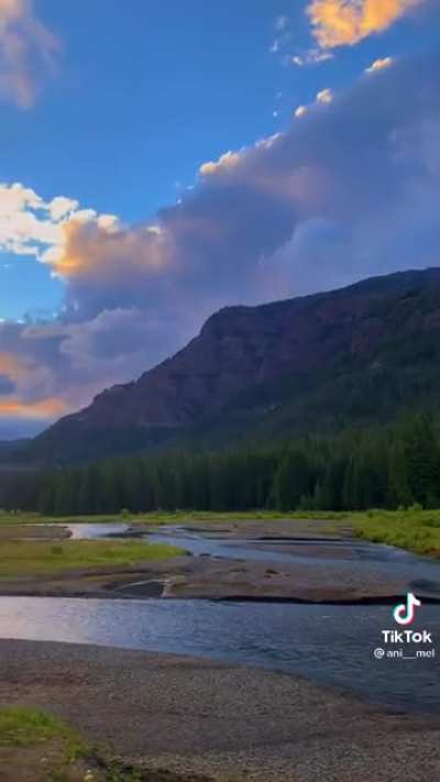 Morning in Yellowstone
