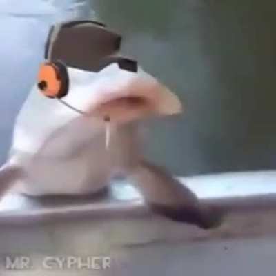 scout be like