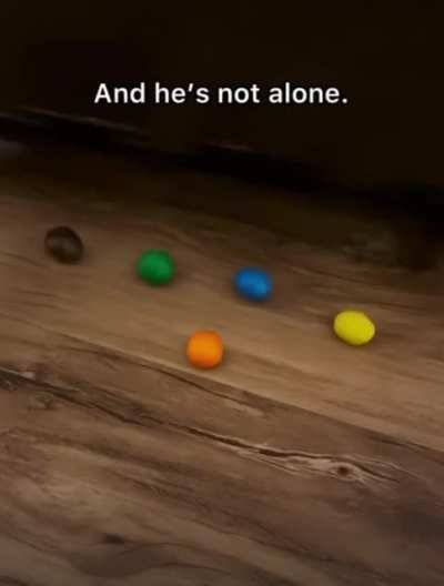 Accidentally dropping an m&amp;amp;m