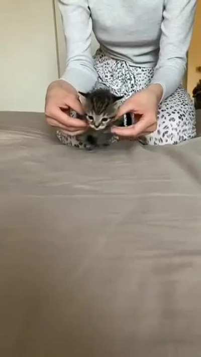 Cute