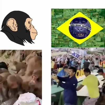Macacos vs brasileiros m&eacute;dio