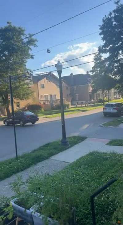 Idiot speeding past apartment multiple times with predictable outcome