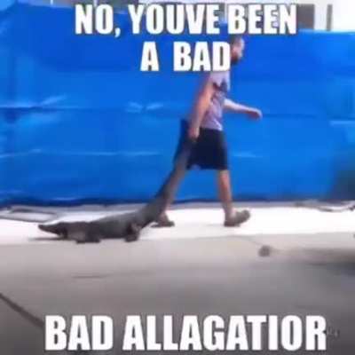 The so the sad