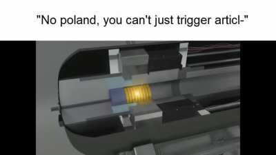 "No Poland, you can't just trigger articl-"