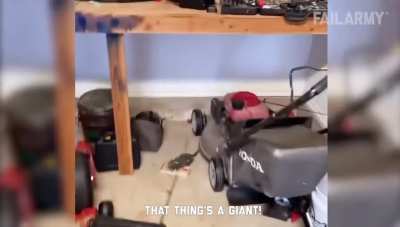 AH-