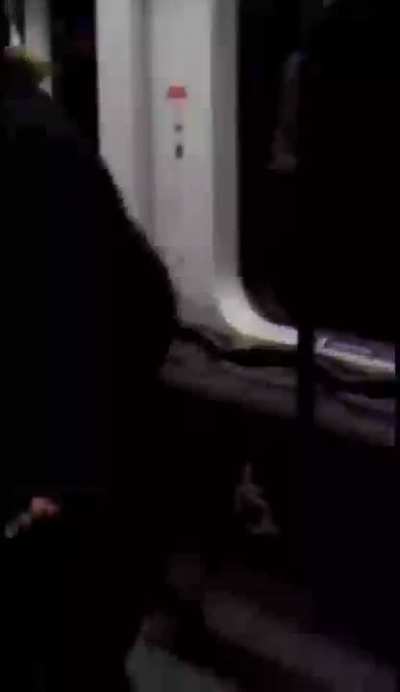 Dude pulled up a Samurai to save a Man getting jumped in the Bus