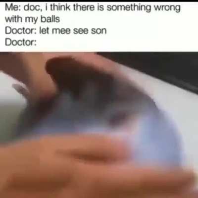 rule