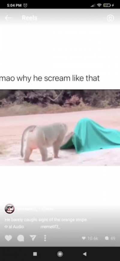 He didn't expect it.