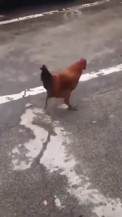 That walk though!!