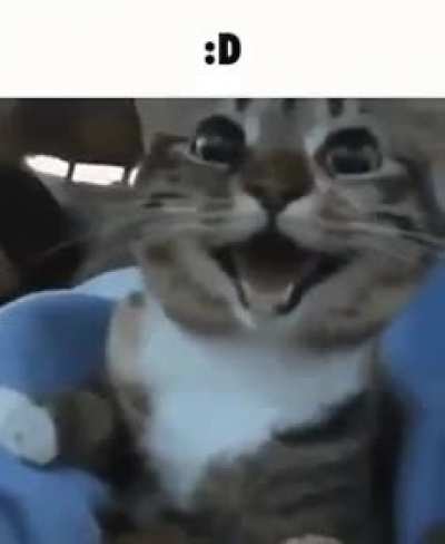 :D o 🐀🚬