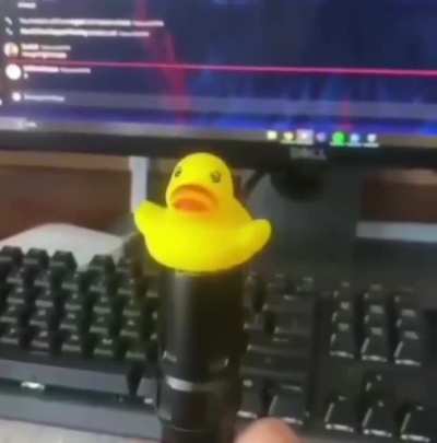 Pato supremo