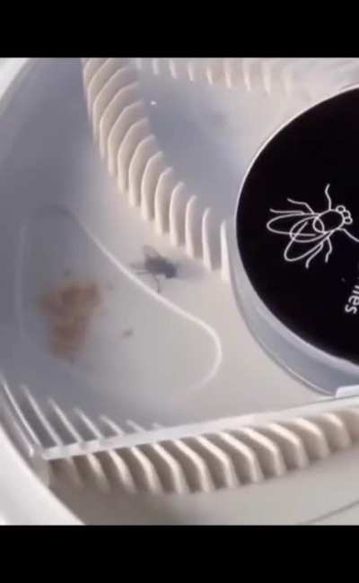 Poor fly :(