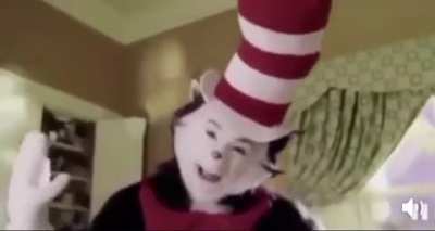 Hat in the Cat