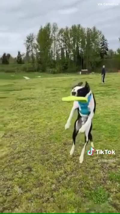 The look in his eyes...