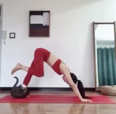 Early morning yoga training.