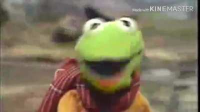 NOOOOO KERMIT