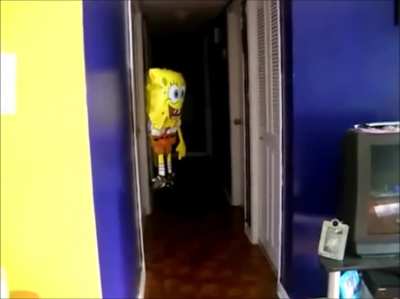 Po&eacute;tico pero parte dos del bob toronja