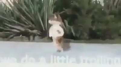 -titulo interesante-