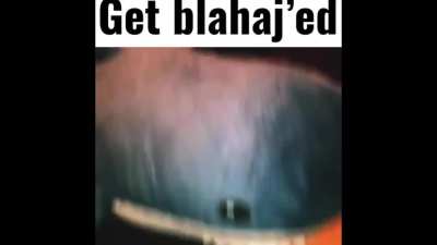 Get Blahaj&rsquo;ed All credit to @TerryTriggerfish