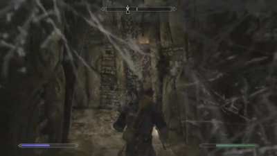 Don't play Skyrim with a fear of spiders