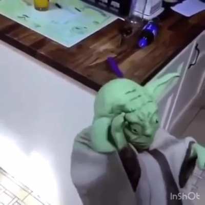 Stop bullying yoda 😞